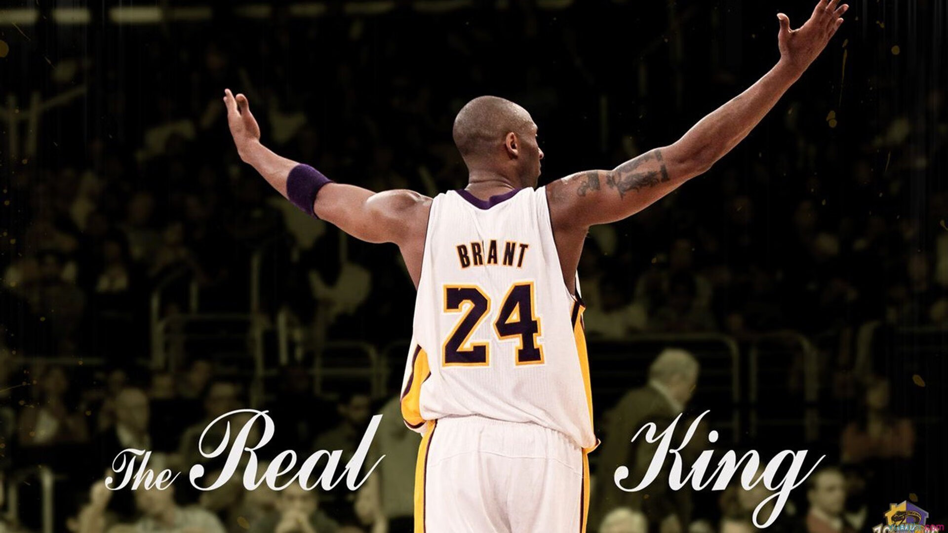 选手比赛录像分析分享，比赛视频录制指南