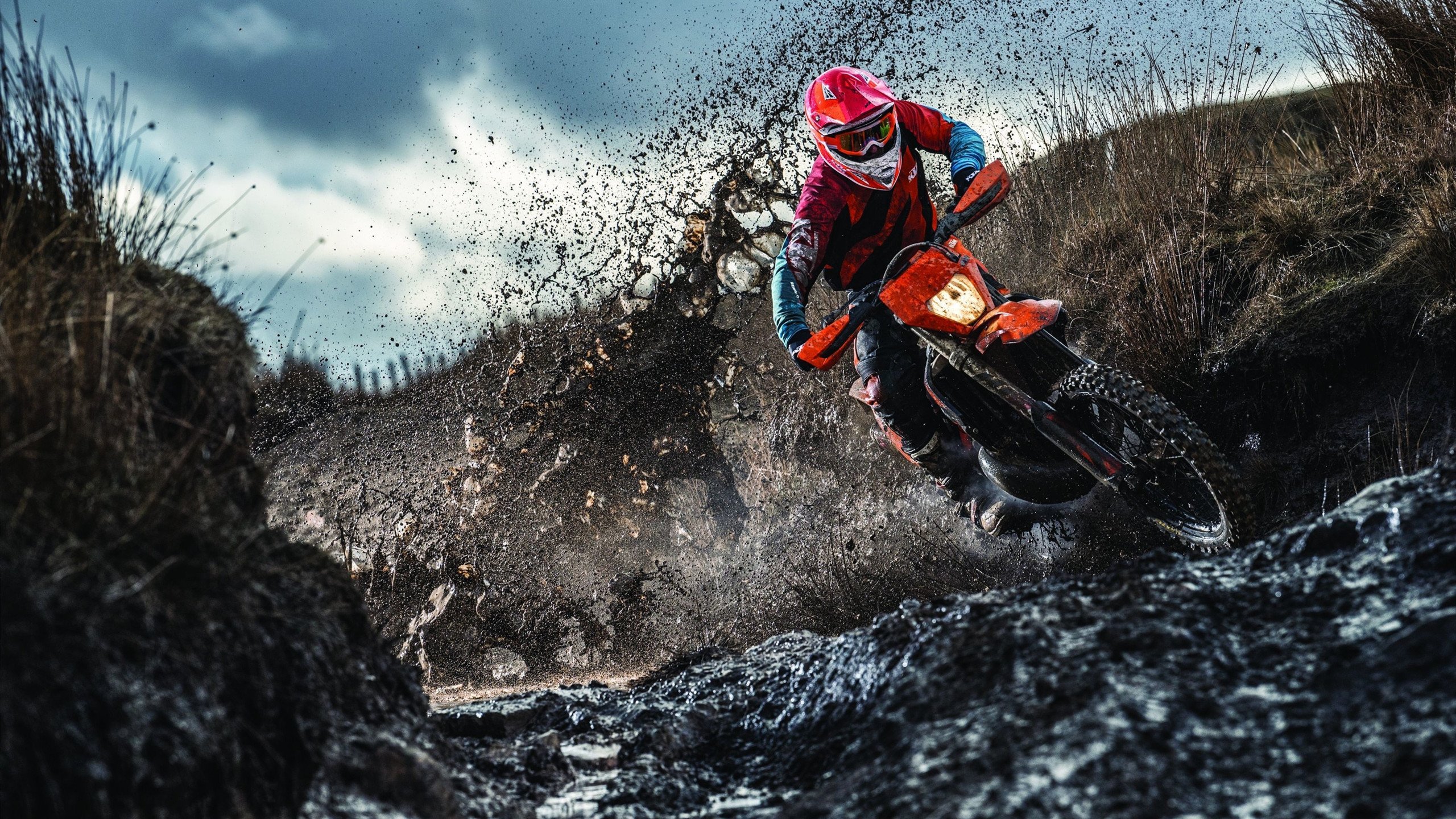 九游下载-墨西哥的赛场狂欢文化，墨西哥狂欢节介绍